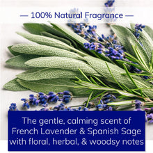 Load image into Gallery viewer, Body Cleanser