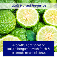 Load image into Gallery viewer, Shampoo